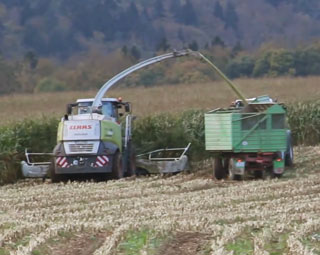 Maisernte mit einem Claas Jaguar 960. Abgefahren wird mit einer Fendt Flotte, die sich über Fendt 939 bis zu Fendt 926 Favorit erstreckt. Außerdem ist ein Annaburger Umladewagen zu sehen, um die Straßenverschmutzung zu reduzieren.